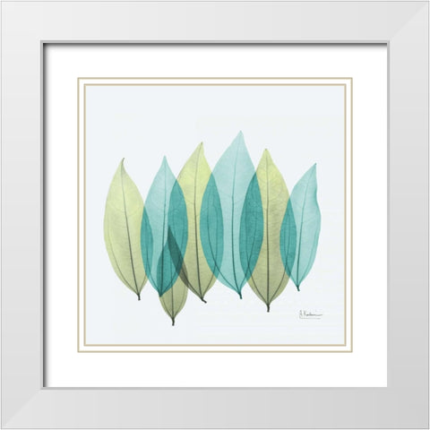 Coculus Leaf L348 White Modern Wood Framed Art Print with Double Matting by Koetsier, Albert