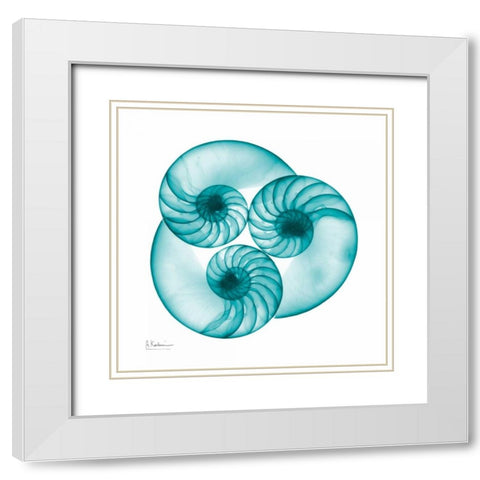 Nautilus Trio White Modern Wood Framed Art Print with Double Matting by Koetsier, Albert