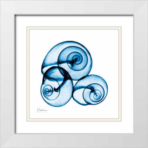 Electric Blue Moonsnails 1 White Modern Wood Framed Art Print with Double Matting by Koetsier, Albert