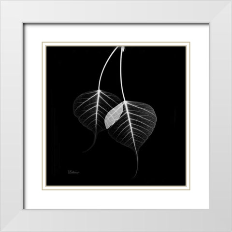 Bodhi Tree STAR White Modern Wood Framed Art Print with Double Matting by Koetsier, Albert