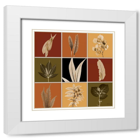 Harvest 9 patch 1 White Modern Wood Framed Art Print with Double Matting by Koetsier, Albert