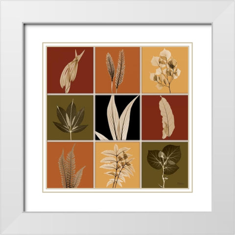 Harvest 9 patch 1 White Modern Wood Framed Art Print with Double Matting by Koetsier, Albert