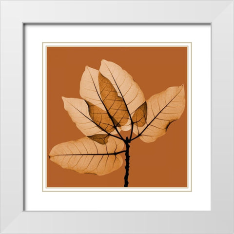 Harvest Leaves 1C White Modern Wood Framed Art Print with Double Matting by Koetsier, Albert