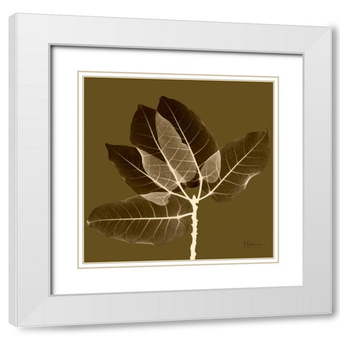 Harvest Leaves 1D White Modern Wood Framed Art Print with Double Matting by Koetsier, Albert