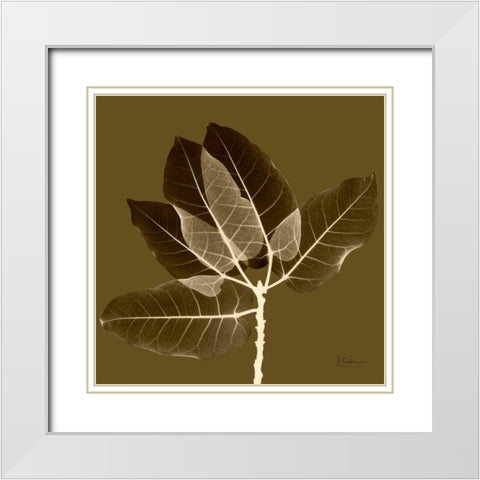 Harvest Leaves 1D White Modern Wood Framed Art Print with Double Matting by Koetsier, Albert