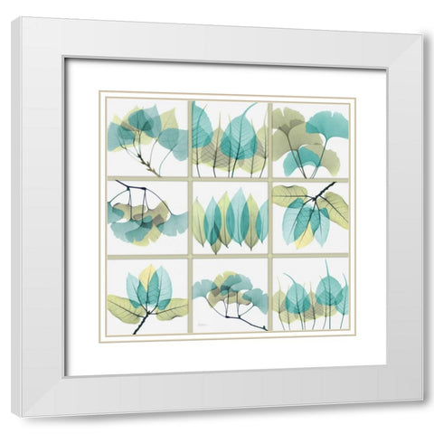 Citrus Leaves SC White Modern Wood Framed Art Print with Double Matting by Koetsier, Albert