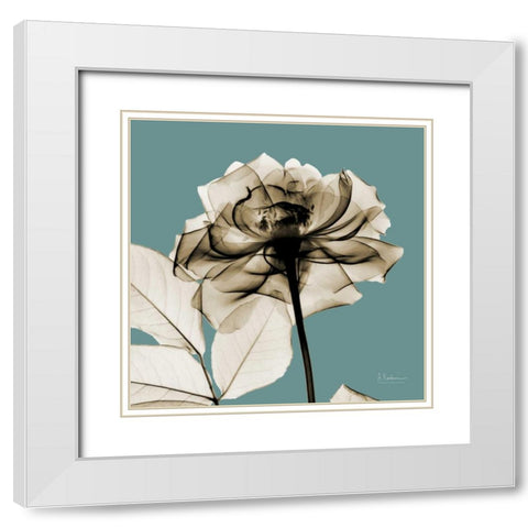 Mineral Rose White Modern Wood Framed Art Print with Double Matting by Koetsier, Albert