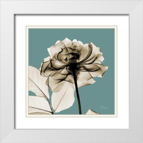 Mineral Rose White Modern Wood Framed Art Print with Double Matting by Koetsier, Albert