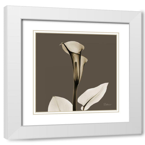 Slate Calla White Modern Wood Framed Art Print with Double Matting by Koetsier, Albert