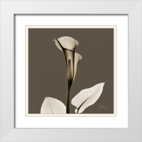 Slate Calla White Modern Wood Framed Art Print with Double Matting by Koetsier, Albert