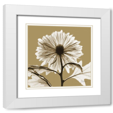 Lark Mum White Modern Wood Framed Art Print with Double Matting by Koetsier, Albert