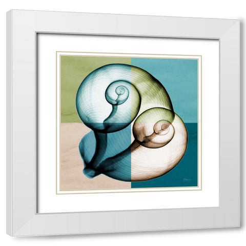 Blue Green Shell 1 White Modern Wood Framed Art Print with Double Matting by Koetsier, Albert