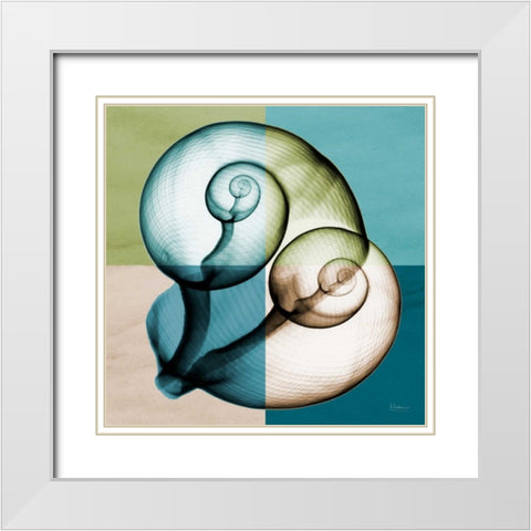 Blue Green Shell 1 White Modern Wood Framed Art Print with Double Matting by Koetsier, Albert