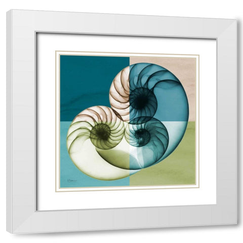 Blue Green Shell 2 White Modern Wood Framed Art Print with Double Matting by Koetsier, Albert