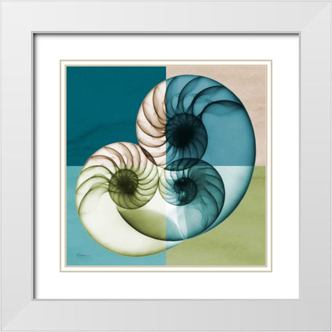 Blue Green Shell 2 White Modern Wood Framed Art Print with Double Matting by Koetsier, Albert
