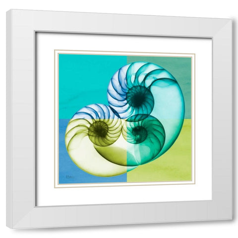 Blue Green Shell 2 White Modern Wood Framed Art Print with Double Matting by Koetsier, Albert