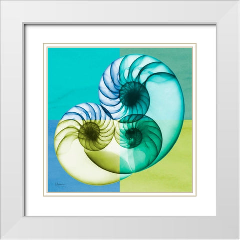 Blue Green Shell 2 White Modern Wood Framed Art Print with Double Matting by Koetsier, Albert