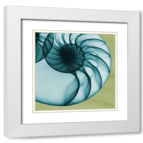 Neon Nautilus White Modern Wood Framed Art Print with Double Matting by Koetsier, Albert