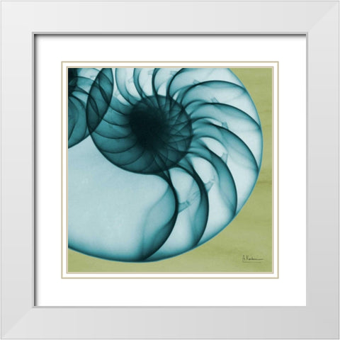 Neon Nautilus White Modern Wood Framed Art Print with Double Matting by Koetsier, Albert