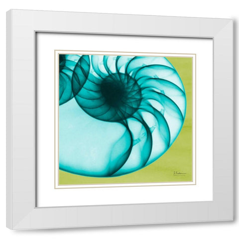 Neon Nautilus White Modern Wood Framed Art Print with Double Matting by Koetsier, Albert