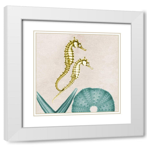 Under The Sea 1 White Modern Wood Framed Art Print with Double Matting by Koetsier, Albert