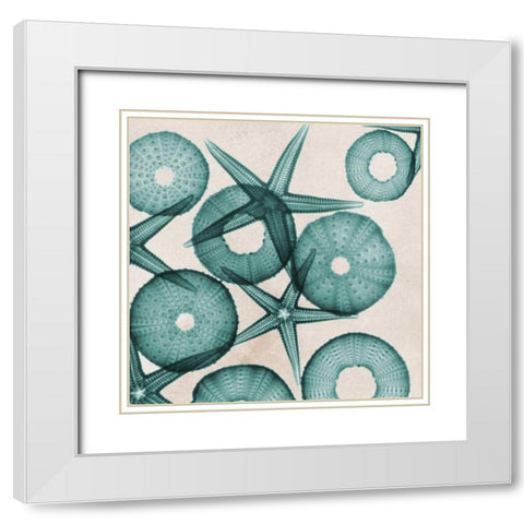 Under The Sea 3 White Modern Wood Framed Art Print with Double Matting by Koetsier, Albert