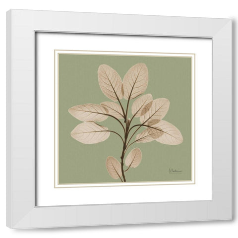 Berggarten Sage White Modern Wood Framed Art Print with Double Matting by Koetsier, Albert