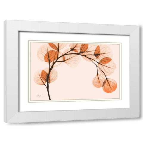 Orange Eucalyptus White Modern Wood Framed Art Print with Double Matting by Koetsier, Albert