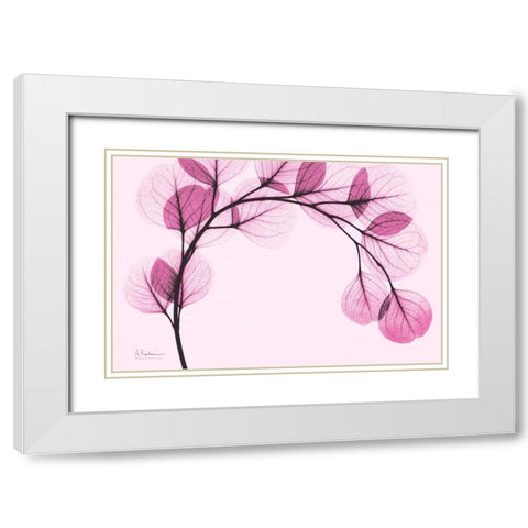 Pink Eucalyptus White Modern Wood Framed Art Print with Double Matting by Koetsier, Albert
