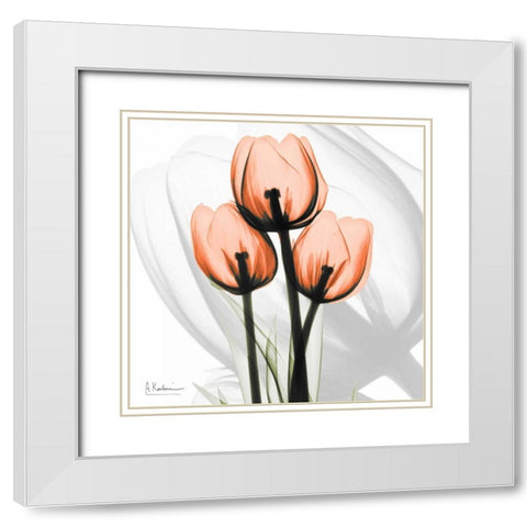 Orange tulips White Modern Wood Framed Art Print with Double Matting by Koetsier, Albert