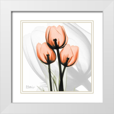 Orange tulips White Modern Wood Framed Art Print with Double Matting by Koetsier, Albert