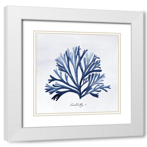 SeaweedFig1 White Modern Wood Framed Art Print with Double Matting by Vidal, Alicia