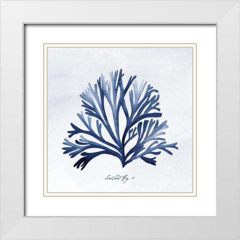 SeaweedFig1 White Modern Wood Framed Art Print with Double Matting by Vidal, Alicia