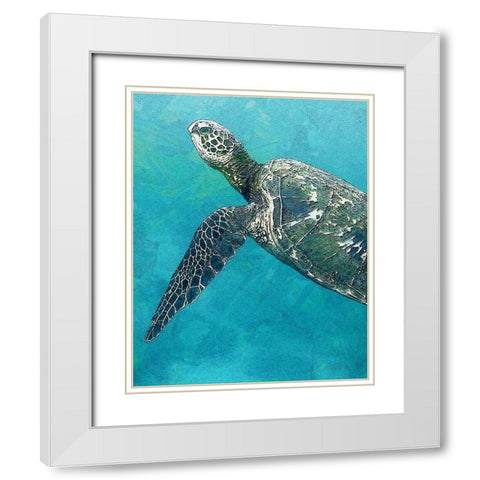 Sea Turtle 3 White Modern Wood Framed Art Print with Double Matting by Bailey, Ann
