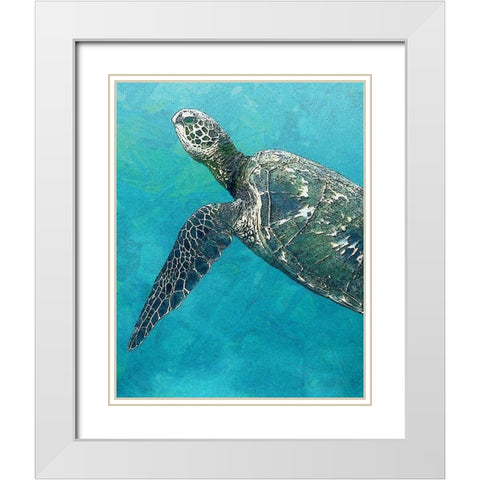 Sea Turtle 3 White Modern Wood Framed Art Print with Double Matting by Bailey, Ann