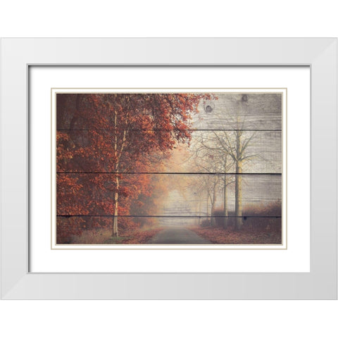 A Journey White Modern Wood Framed Art Print with Double Matting by Bailey, Ann