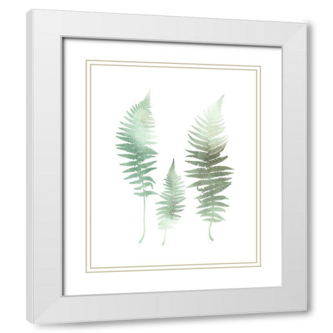 Watercolor Fern 1 White Modern Wood Framed Art Print with Double Matting by Bailey, Ann