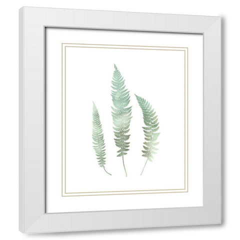 Watercolor Fern 3 White Modern Wood Framed Art Print with Double Matting by Bailey, Ann