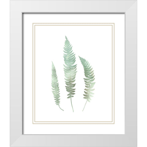 Watercolor Fern 3 White Modern Wood Framed Art Print with Double Matting by Bailey, Ann