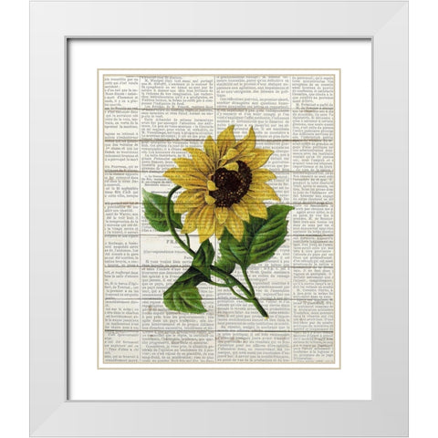 Sunflower Print 1 White Modern Wood Framed Art Print with Double Matting by Bailey, Ann
