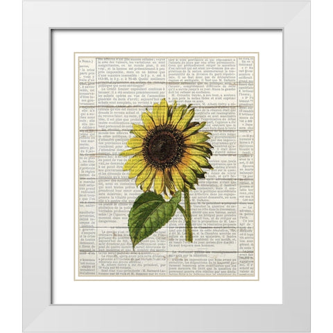Sunflower Print 2 White Modern Wood Framed Art Print with Double Matting by Bailey, Ann
