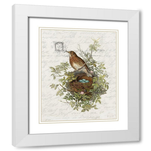 Nesting 2 White Modern Wood Framed Art Print with Double Matting by Bailey, Ann