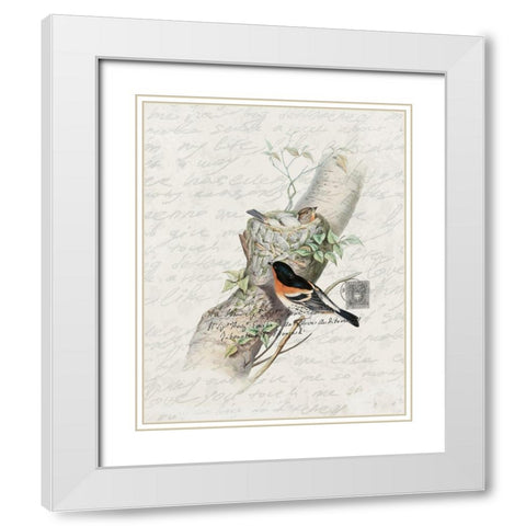 Nesting 3 White Modern Wood Framed Art Print with Double Matting by Bailey, Ann
