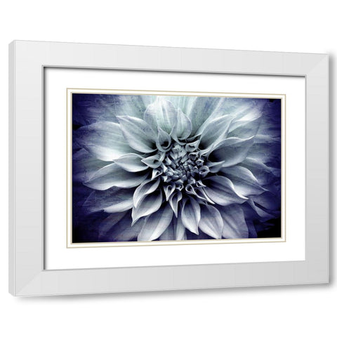Amethyst Bloom White Modern Wood Framed Art Print with Double Matting by Bailey, Ann