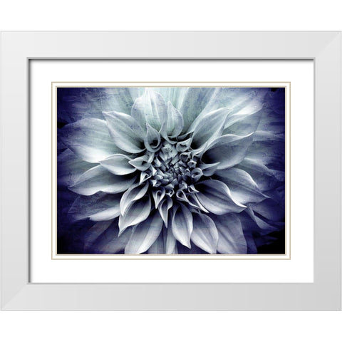 Amethyst Bloom White Modern Wood Framed Art Print with Double Matting by Bailey, Ann