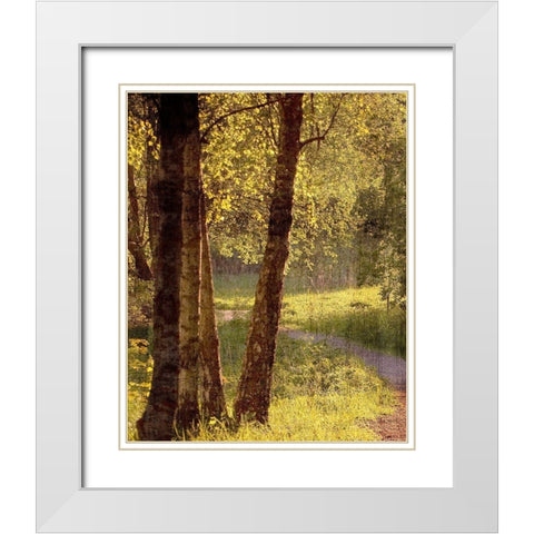 Sunlit Path 1 White Modern Wood Framed Art Print with Double Matting by Bailey, Ann