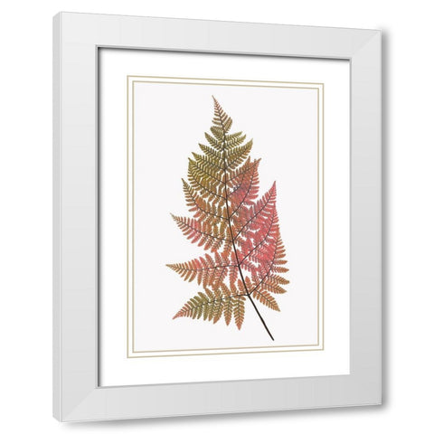 Coral Gold Fern 1 White Modern Wood Framed Art Print with Double Matting by Bailey, Ann