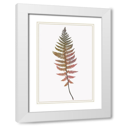 Coral Gold Fern 2 White Modern Wood Framed Art Print with Double Matting by Bailey, Ann