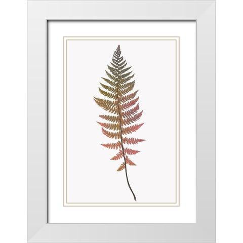 Coral Gold Fern 2 White Modern Wood Framed Art Print with Double Matting by Bailey, Ann