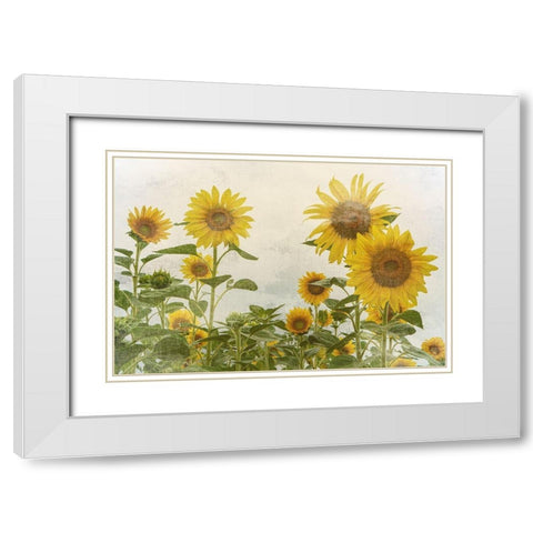 Sunny Mood White Modern Wood Framed Art Print with Double Matting by Bailey, Ann